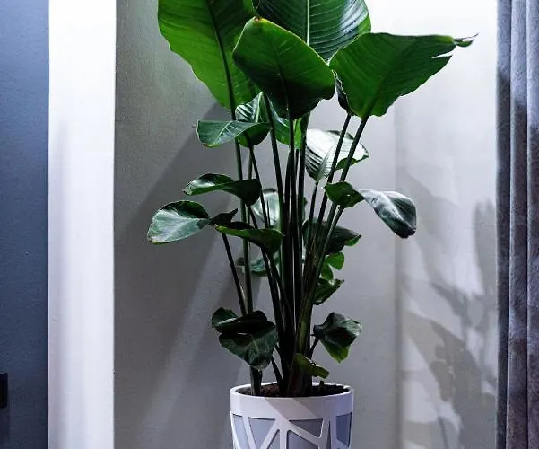 Nostos Apartament Chania (Crete)