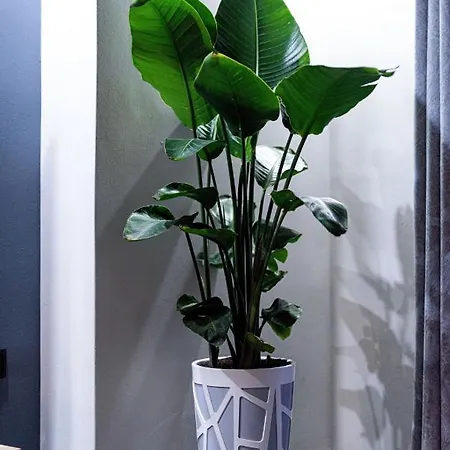 Nostos Lägenhet Chania (Crete)